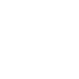 Cyberfoire BSL